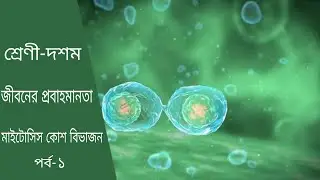 মাইটোসিস কোশ বিভাজন#Mitosis Cell Division in Bengali,Part-1