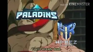 hi rez killing paladins