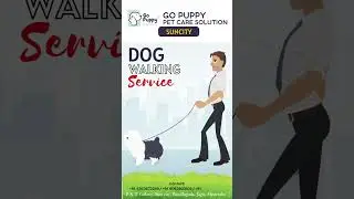 DOG WALKING SERVICE| Go Puppy- Pet Care Solution|#petcare #petstore #petlover #hyderabad #doglovers