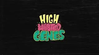 High Wasted Genes - Al Bundy (and a Semester of Fraud) [Official Lyric Video]
