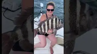Lady angler catches NJ Sheepshead