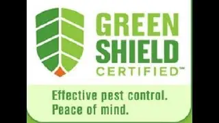 Our Definition of Green Pest Control