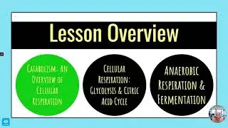 OAT Exam Prep Biology Ch3   Cellular Energy (CrackOAT.com)