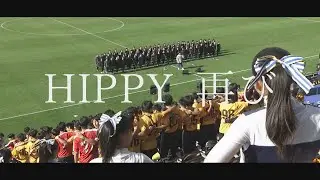 【高校サッカー】感動再び！第104回全国高校サッカー選手権大会 大阪大会 決勝｜「君に捧げる応援歌」/ HIPPY SPハーフタイム企画