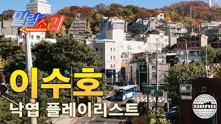 밀림의 소리 Vol.5 | 낙엽 구경 사운드트랙 | 이수호
