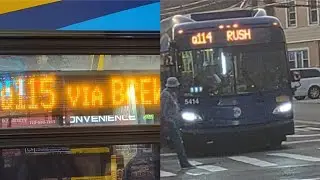 MTA Buses| Q51 LTD Q111 Rush Q113 LTD Q114 Rush & Q115 Buses at Guy R Brewer Blvd & Linden Blvd