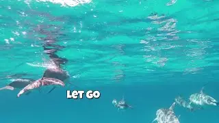 Kauai 4K HD GoPro OCEAN ESCAPE USA #nature #ocean #vibes #viral #gopro 
