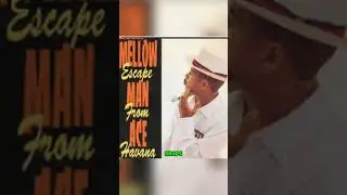 Революция спанглиша: как Mellow Man Ace положил начало латиноамериканскому кроссовер-рэпу с песне...