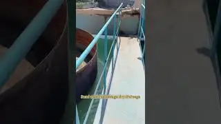 Flocculation and sedimentation + sludge dewatering in sand washing field