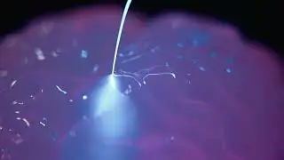 Neurobionics