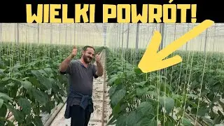 WIELKI POWR&Oacute;T  / HOLENDERSKA UPRAWA / TYDZIEŃ 08 / 2023