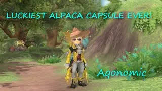 LUCKIEST MYSTERY BOX EVER | Eden Eternal EPIC Alpaca Capsule Loot | Aqonomic