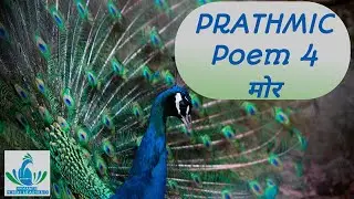 PRATHMIC/Part 2/ Poem 4/मोर