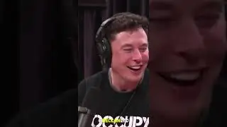 Elon Musk On Smoking and Drinking
