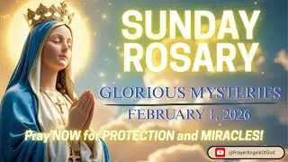 Pray the Holy Rosary Today ✝️ Sunday Rosary 🙏 February 1, 2026 🕊️ Glorious Mysteries
