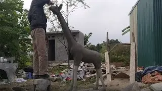 Skill in sculpting garden giraffe statues with cement materials - DIY creative design