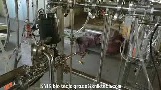 China KNIK bio Steam-In-Place enzymes Automatic sterilization fermentor system