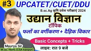 classification of fruits // most important question UPCATET/ CUET / DDU // UP college entrance 2024