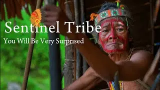 Sentinel Tribe  A Glimpse into a World Beyond Humanity  #tribe  #amazonlife #cultural #AncientWays