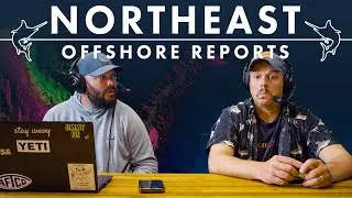Offshore Fishing RETURNS Post Hurricane | Northeast Offshore Fishing Report August 27 2025