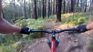 Silvan MTB trails | 03/03/2019