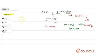 Bt gene is