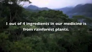 India has rainforests too!