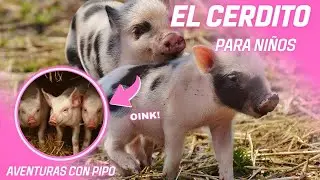 EL CERDITO🐷🐖 / PARA NI&Ntilde;OS