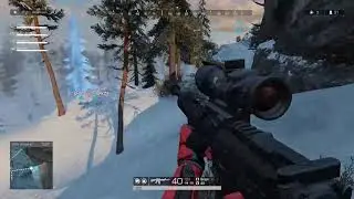 ROE SQUAD - FPP#2