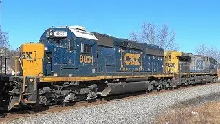 A Super Long CSX Intermodal Train Q137 & Trains In Homestead