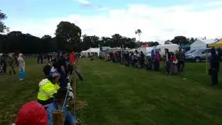 Max and Red lurcher racing