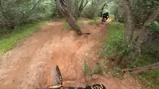 Horsnells chasing Cooper