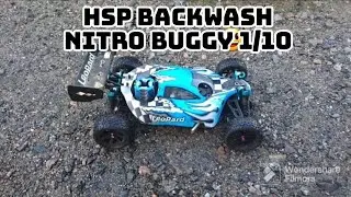 HSP BACKWASH NITRO RC BUGGY 1/10. HSP 94166 (Amewi leopard) 👍 Backyard bash 😃