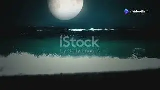 life on earth without moon