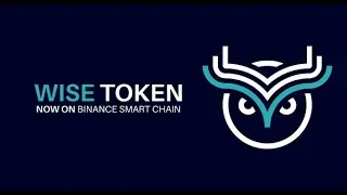 Binance Smart Chain Meets Wise The Most Secure Staking On Blockchain