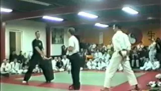 Blancke Karate D&eacute;monstration de Gunther Blancke