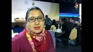 COP 21 - Proceso de negociaci&oacute;n del Acuerdo de Par&iacute;s | RED PAZINDE