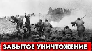 Уничтожение 23 Дня, За Которые Исчезло Пятьсот Тысяч Солдат