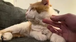 A beautiful face