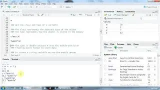 R Programming Know How - Variables in R