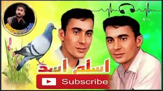 اسلم اسد