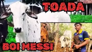 TOADA DA PEGA DO BOI MESSI &bull; ALON ZOA E ARY ZOA &bull; 2025