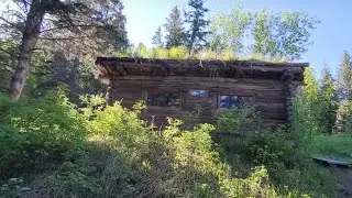 Exploring an Old Log Cabin in Alaska