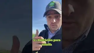 Antes de sembrar alfalfa #alfalfa #agricultura #campo