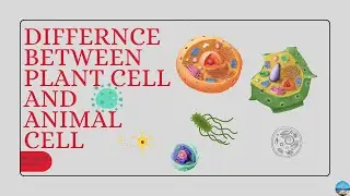 Difference Between Plant Cell and Animal Cell I Brain Boost Academy #biology #brainboostacademy#cbse