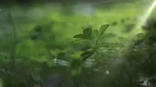 Sustainable II Anthropocene (4k / UHD Master 2014)