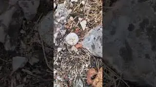 kljuc stari grad
