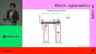 Misha B. Ahrens:  Noncanonical substrates of biological computation