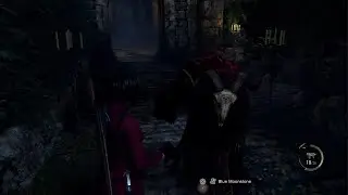 Ada chapter 4 - Red zealot guide. No gun upgrades (hardcore) Separate ways