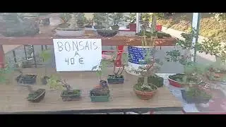 Super oferta ,comprando todos juntos .no envío 